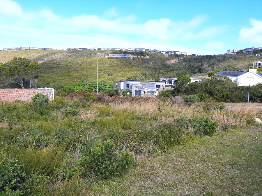 0 Bedroom Property for Sale in Whale Rock Western Cape